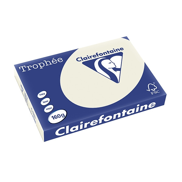 Clairefontaine gekleurd papier parelgrijs 160 grams A3 (250 vel) 1065PC 250143 - 1