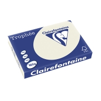 Clairefontaine gekleurd papier parelgrijs 160 grams A3 (250 vel) 1065PC 250143
