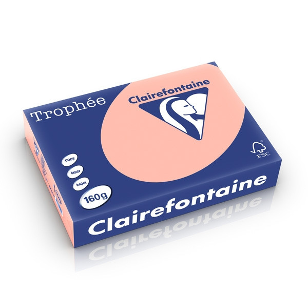 Clairefontaine gekleurd papier perzik 160 grams A4 (250 vel) 1049PC 250238 - 1