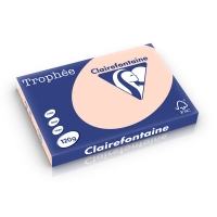 Clairefontaine gekleurd papier zalm 120 grams A3 (250 vel) 1309PC 250219