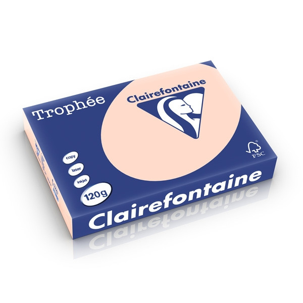 Clairefontaine gekleurd papier zalm 120 grams A4 (250 vel) 1209PC 250201 - 1