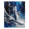 Crystal Art diamond painting kit Midnight Messenger 40 x 50 cm