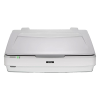 Epson Expression 13000XL A3 flatbed scanner B11B257401 084494