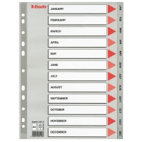 Esselte 100114 plastic tabbladen A4 grijs met jan-dec (11-gaats) 100114 203824