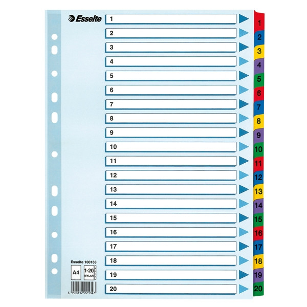 Esselte 100163 kartonnen tabbladen A4 met 20 tabs (11-gaats) 100163 203838 - 1