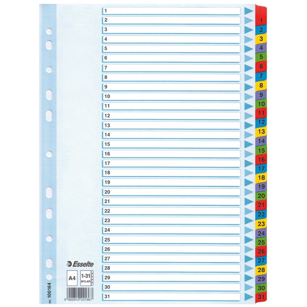 Esselte 100164 kartonnen tabbladen A4 met 31 tabs (11-gaats) 100164 203840 - 1