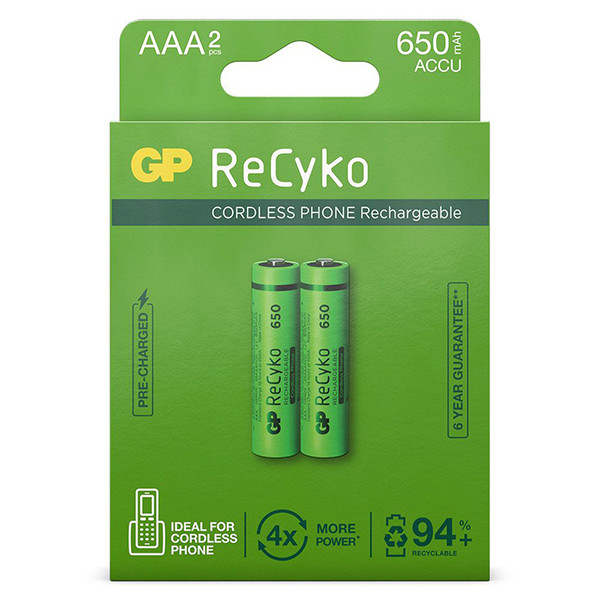 GP ReCyko oplaadbare AAA / HR03 batterij (2 stuks)