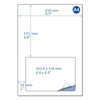 Rillstab pakbonlabel / retourlabel A4 161,5 x 110 mm DPD (100 vel) 89172 068132