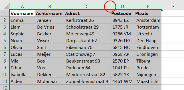 Screenshot van dikgedrukte kolomtitels met daaronder adresgegevens en een rode cirkel op een scheidingslijn in Excel